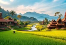Aura Farming, Rayyan & Kedamaian dari Nusantara